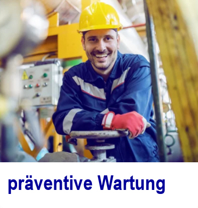 Predictive Maintenance, Ttigkeiten mit System prventive Wartung