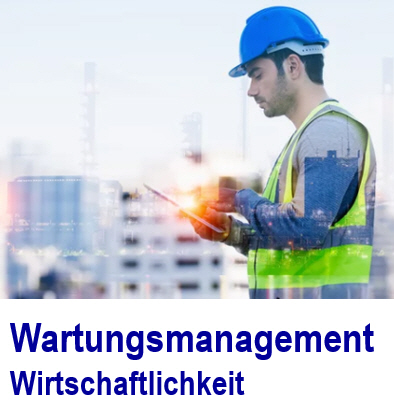 Wirtschaftlichkeit im Wartungsmanagement Wirtschaftlichkeit, Produkivitt, Wartungsmanagement